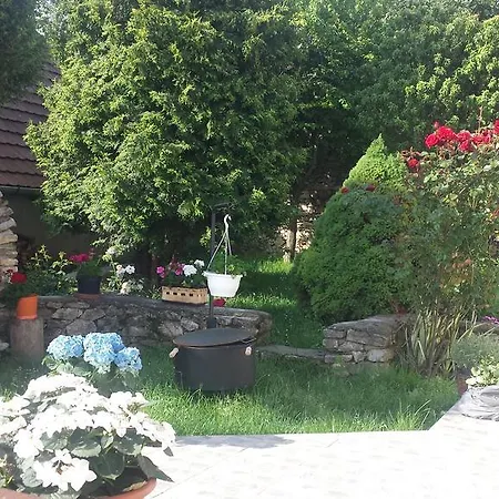Varpanorama Vendeghaz *