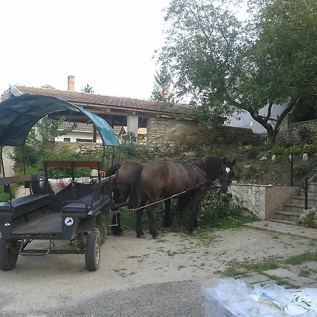 Varpanorama Vendeghaz *